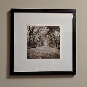 Central Park Path Lined With Trees Framed Photo